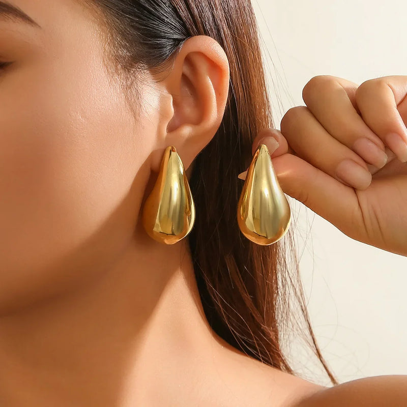 Tamxo™ Elegant Stainless Steel Earrings: Simple, Luxurious Design for Daily Wear