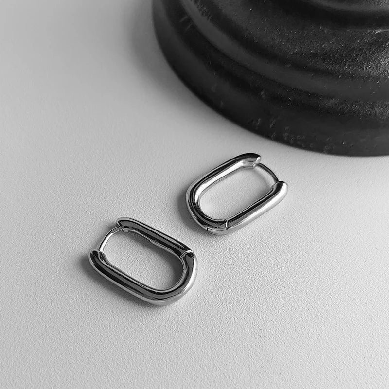 Tamxo™ Elegant Stainless Steel Earrings: Simple, Luxurious Design for Daily Wear